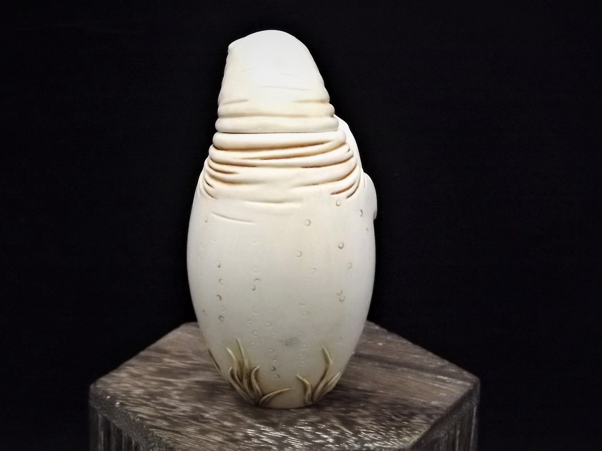 Adam Binder "Coo Coo Kachoo" Walrus Figurine: Limited Edition #85/250