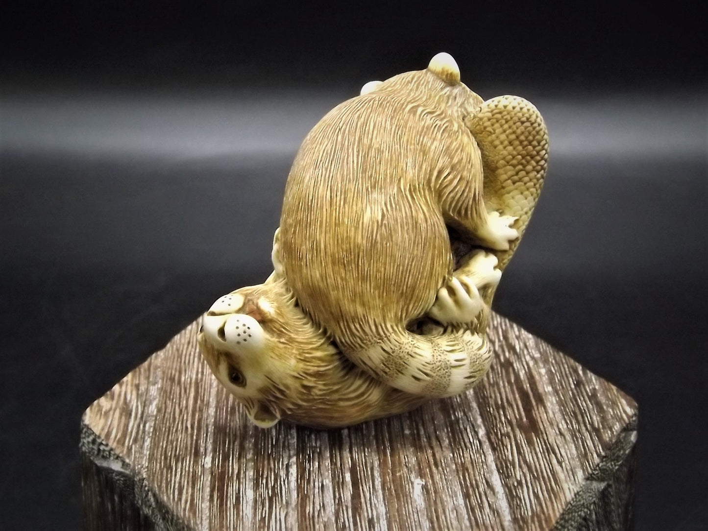 Adam Binder Let's Play series "Beaver and the Bandit". With original box and COA. Excellent shape limited edition #281/600.