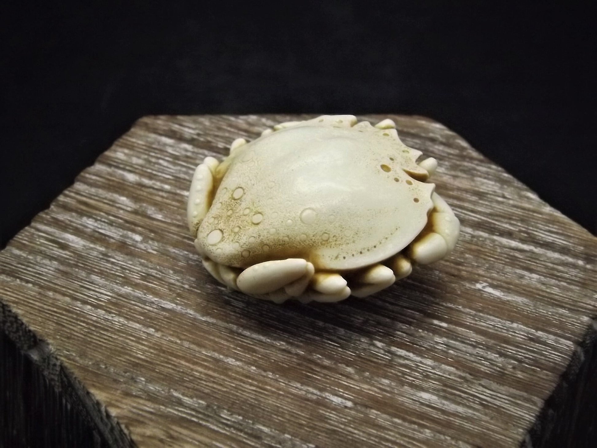 Closeout Sale! Adam Binder Palm Charm series "Ivory Crab". With original box. Excellent shape. Limited edition of 1,100.