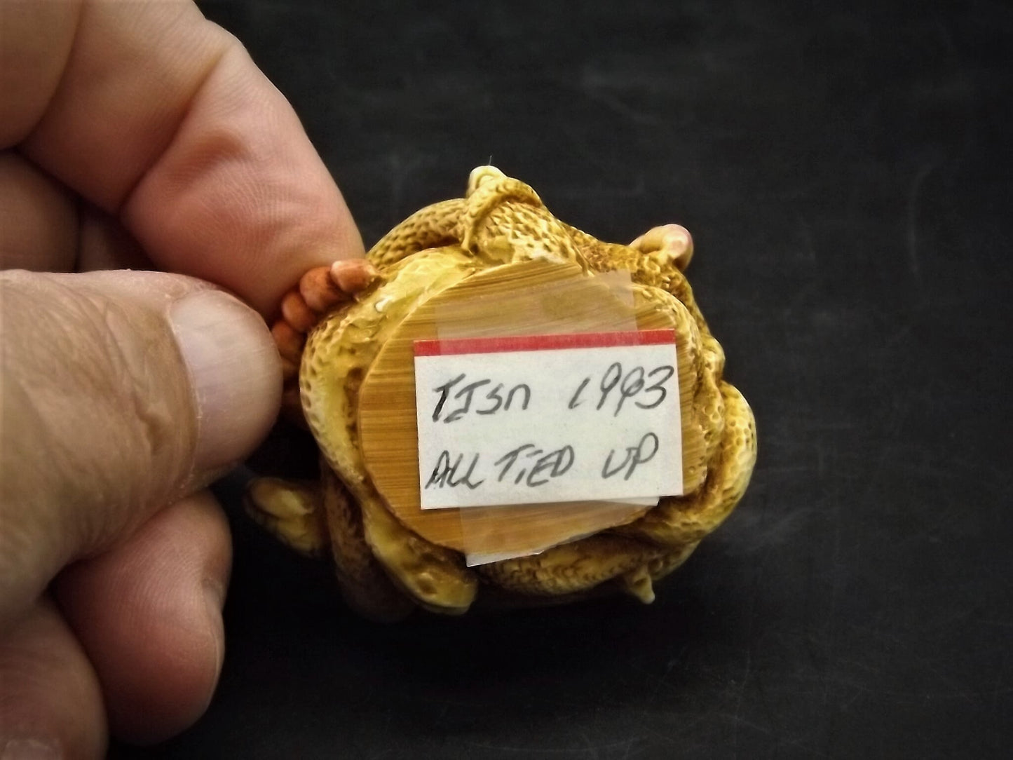 Retired 1993 Harmony Kingdom "All Tied Up" snakes piece Excellent condition. No Box.