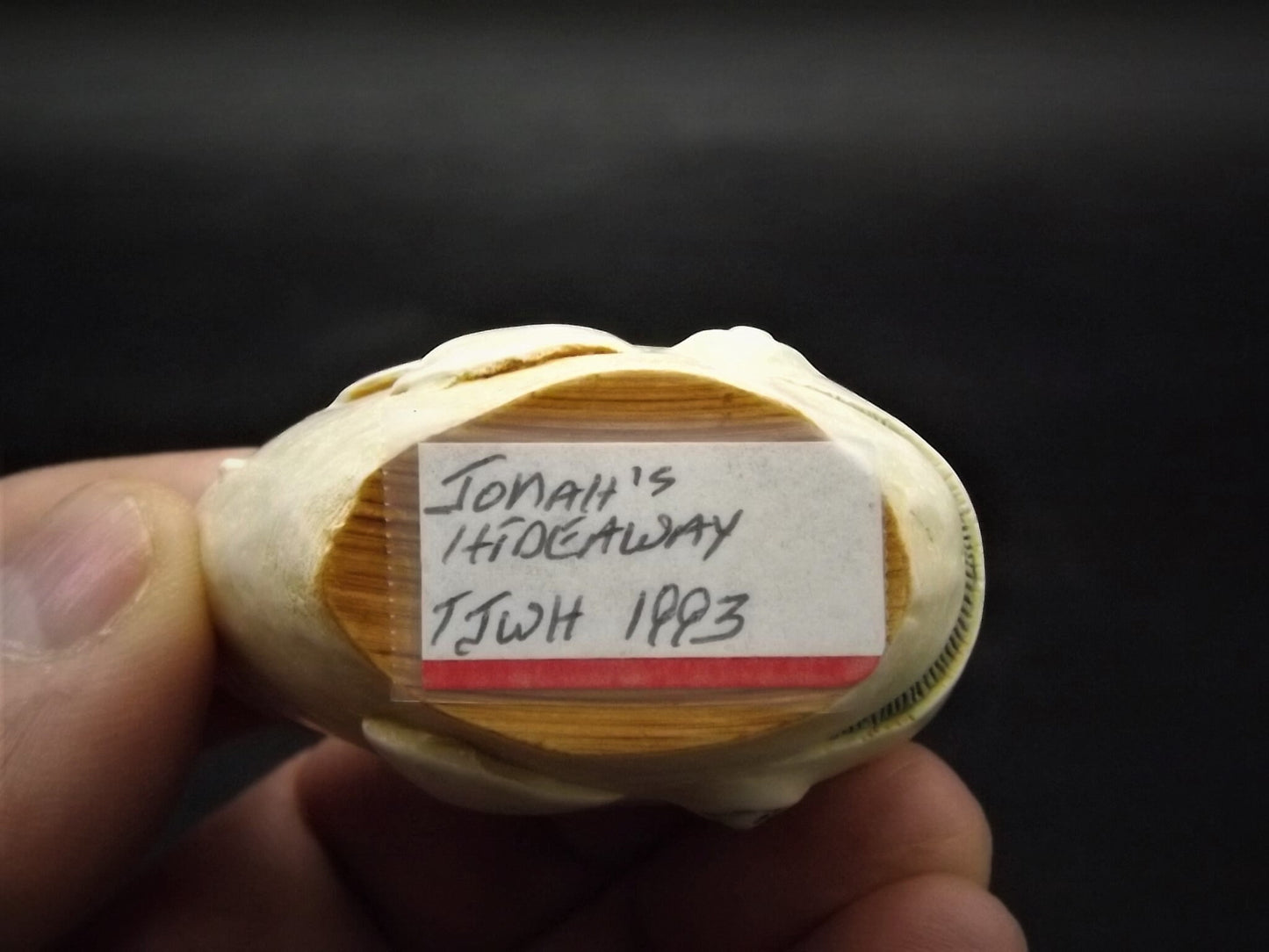 Retired 1993 Harmony Kingdom "Jonah's Hideaway" piece Excellent condition. No Box.