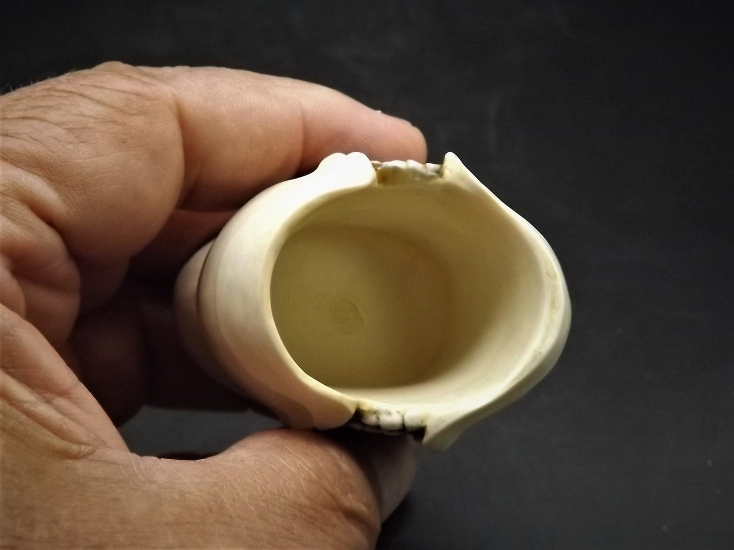 Retired 1995 Harmony Kingdom "Chucky Pig" Jest Figurine XXXTJCP with original box. Excellent condition. Only 300 made! Autographed Twice!