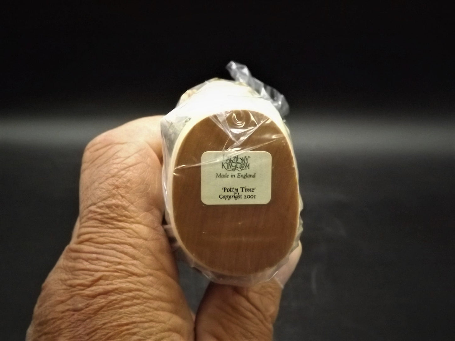 Vintage 2001 Harmony Kingdom "Potty Time Infinity" Jest Figurine TJCA15 with original box and COA. Never unwrapped excellent condition.