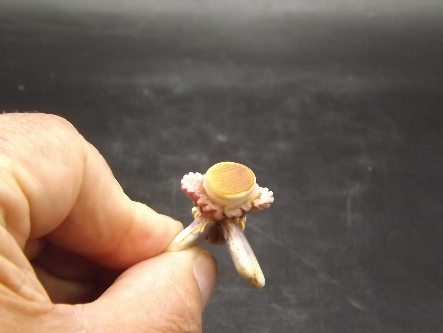 Adam Binder "Daisy" Fairy Figurine - Ivory Finish, with Box & COA