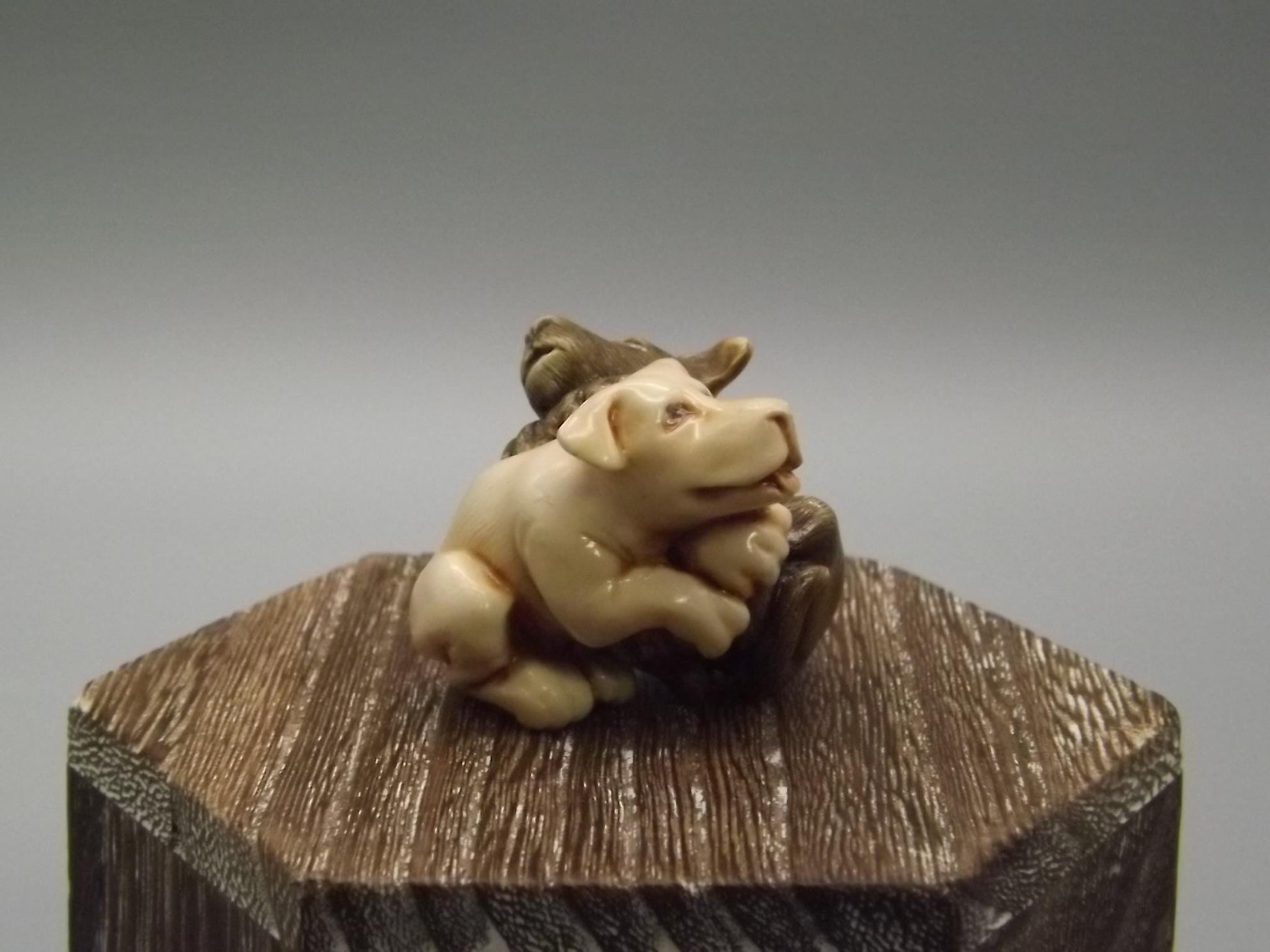 Entwined Dogs Figurine: Martin Perry Artist Proof, Fragile World