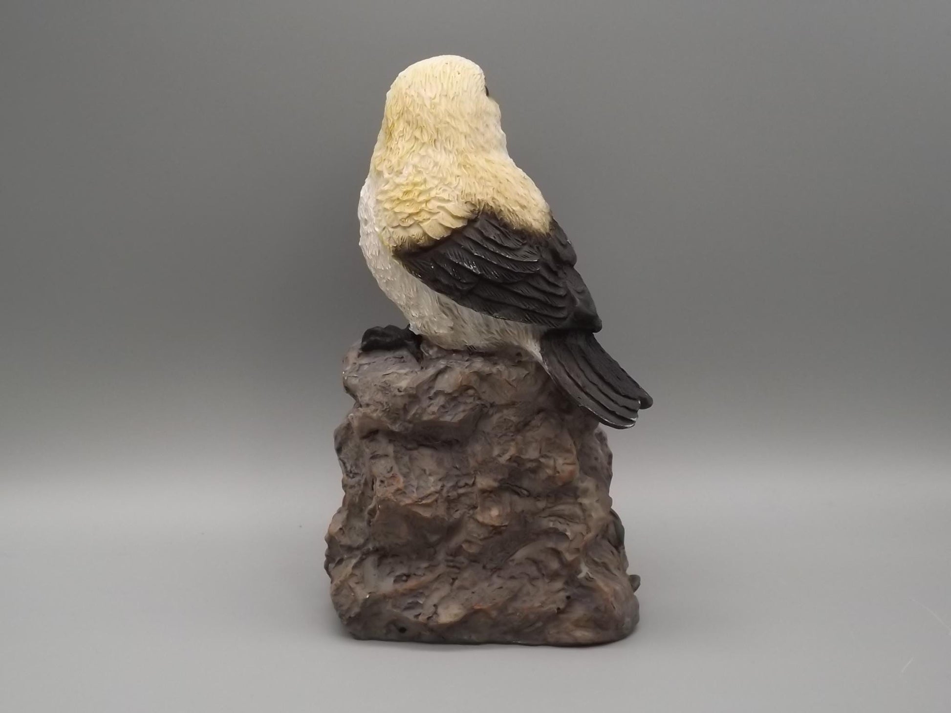Bird Figurine on Welcome Sign: Black and White Feathered Friend Gift