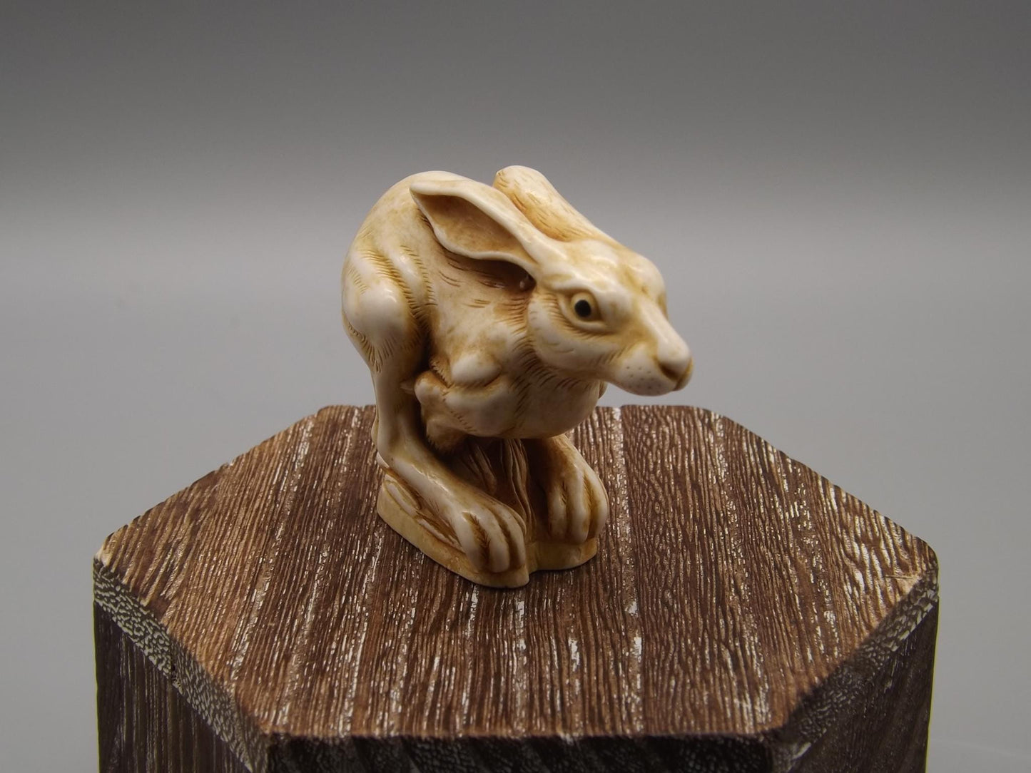 Harmony Kingdom "Harry" Netsuke Figurine with original box and COA. Excellent condition!