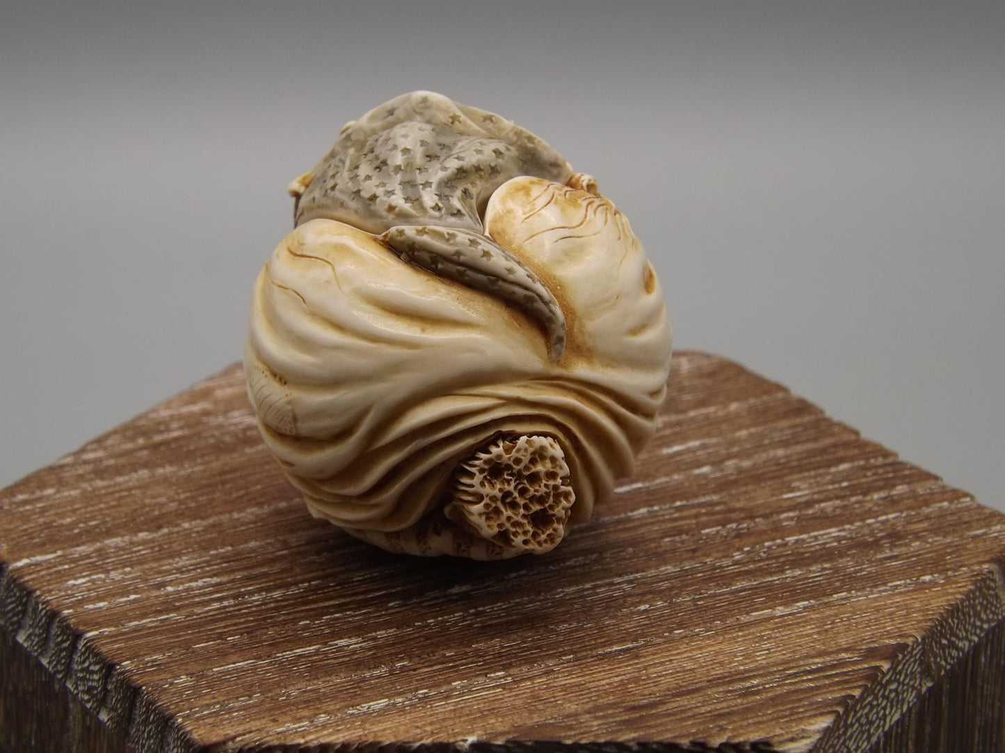 Harmony Kingdom Hilda Witch Figurine: Roly Poly Treasure Jest