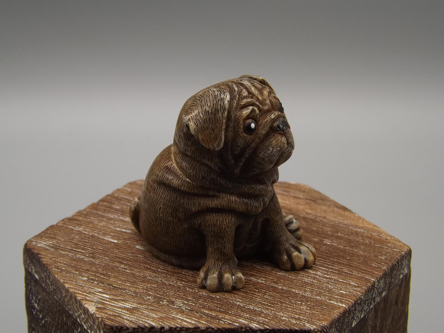 Harmony Kingdom Pot Bellys "Blackie" Pug Figurine