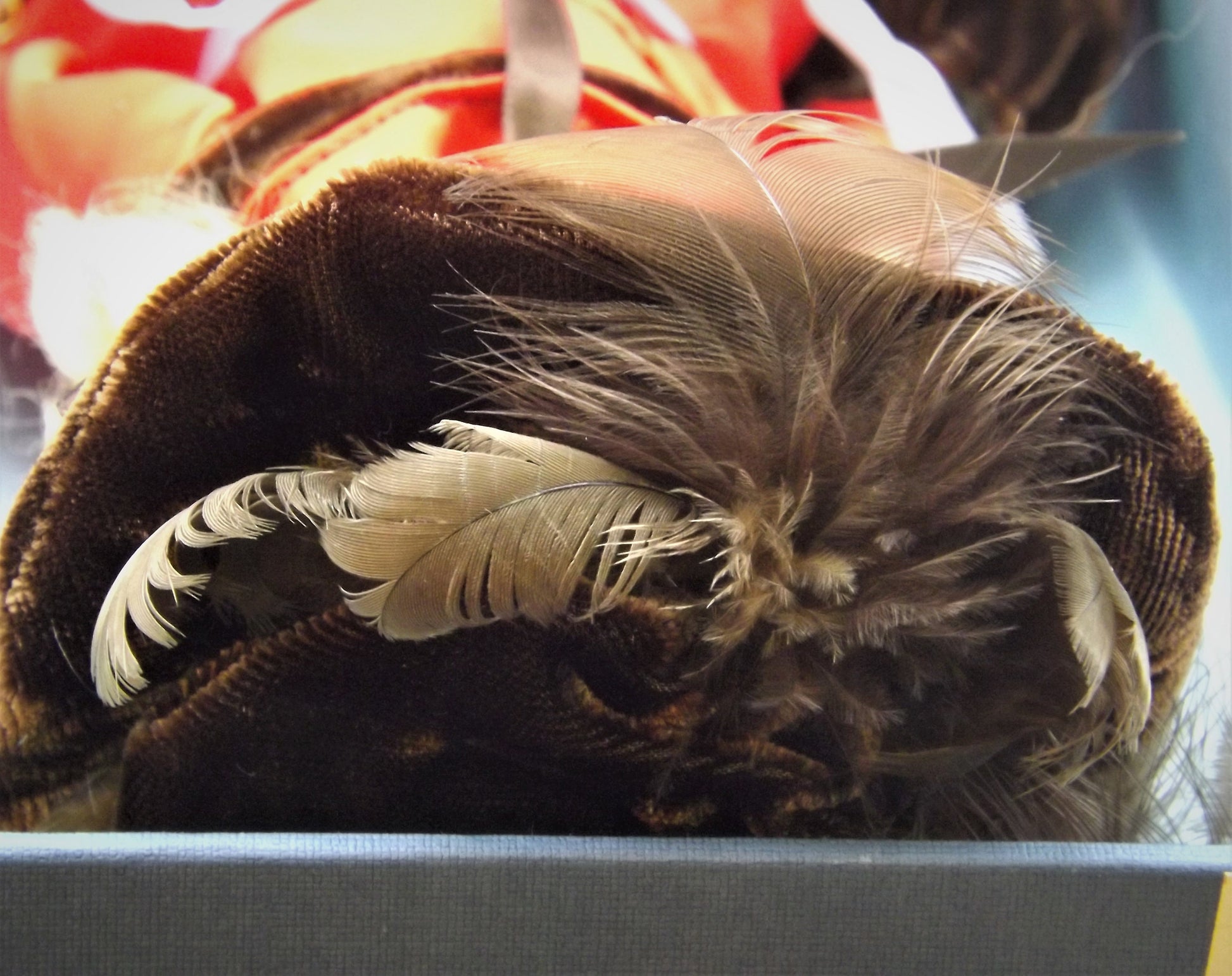 Vintage original Royal Doulton Nisbet Doll never removed from box! This is Winter #7603 excellent condition.