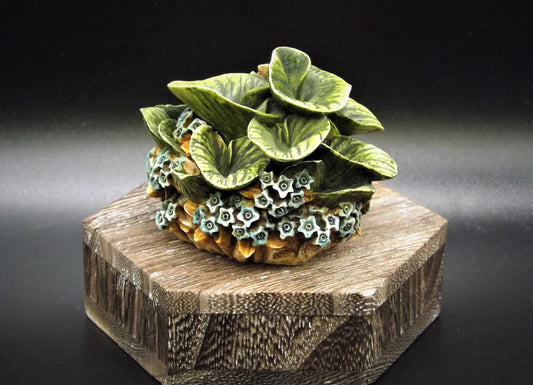 Retired 1998 Harmony Kingdom Garden Lord Byron "Forget me not" piece Excellent condition a Harmony Kingdom box