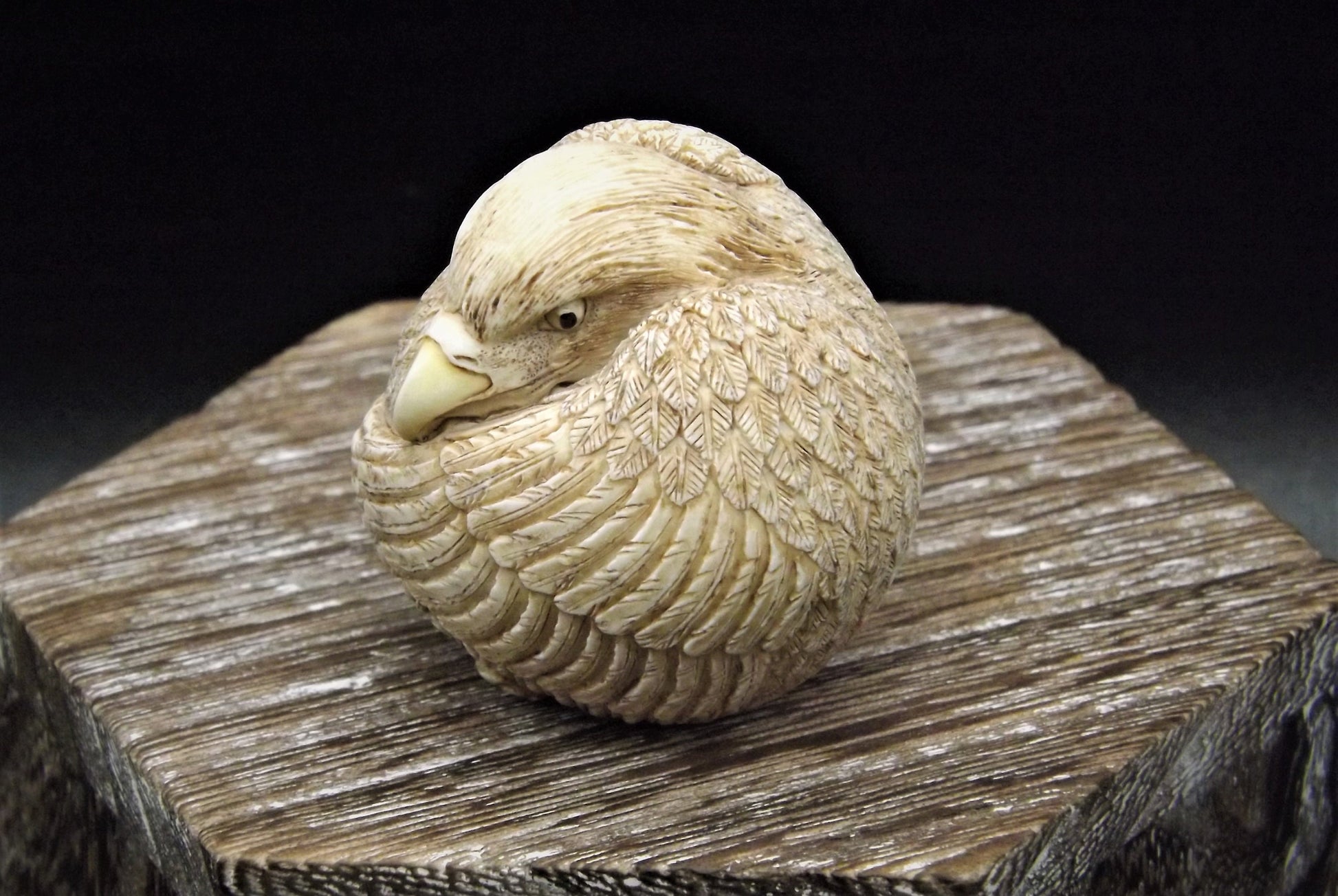 Harmony Kingdom Roly Poly "Liz" Eagle Figurine - Retired Edition