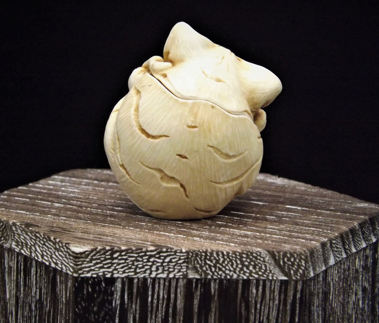 Harmony Kingdom Roly Poly 'Homer' Cat Figurine - Canadian Collectible Show Edition