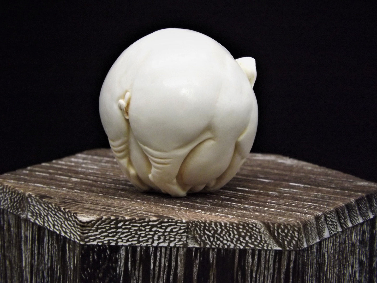 Harmony Kingdom Roly Poly 'Curly' Pig Figurine - Retired