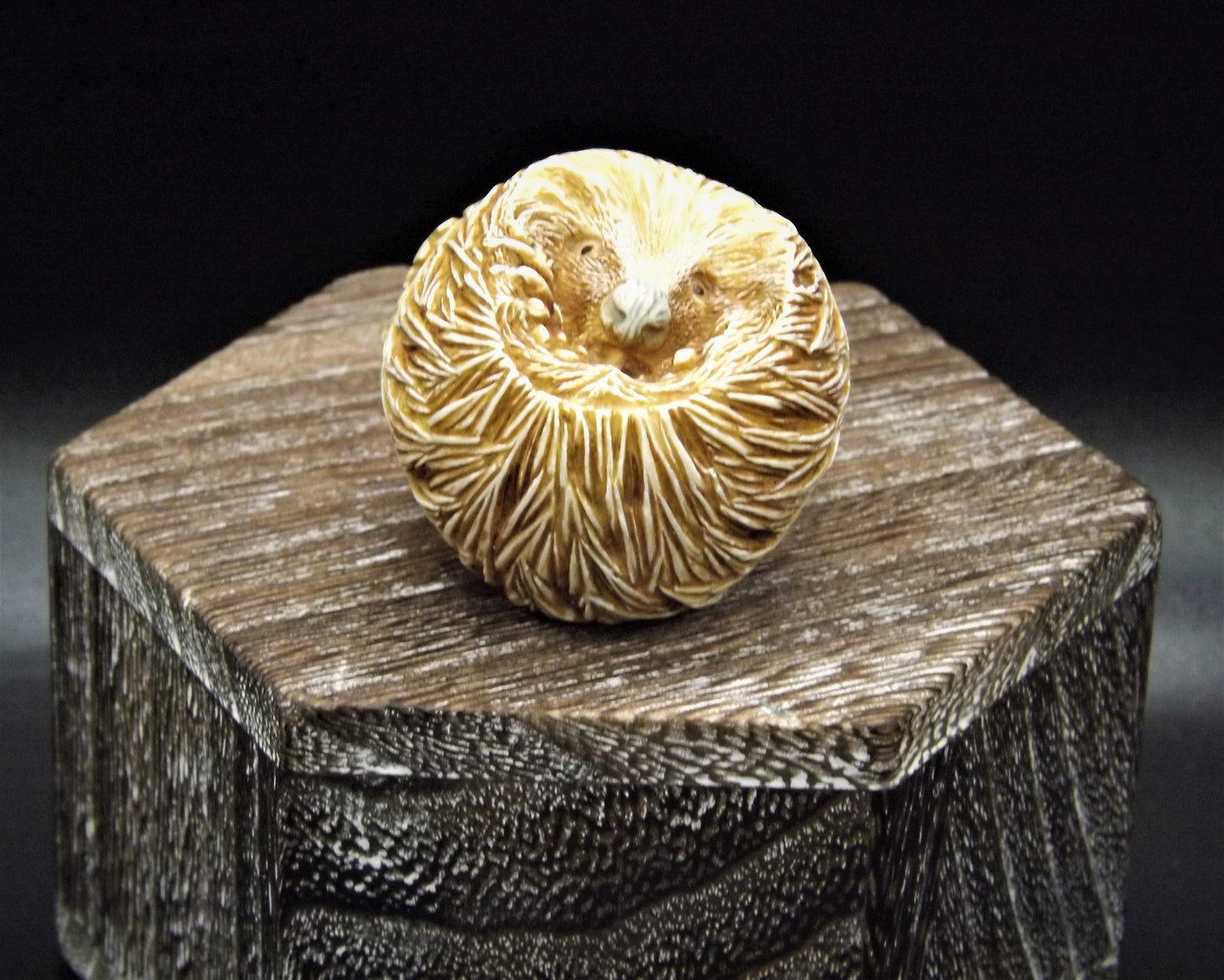 Retired Harmony Kingdom Benny Porcupine Figurine: Adam Binder Roly Poly