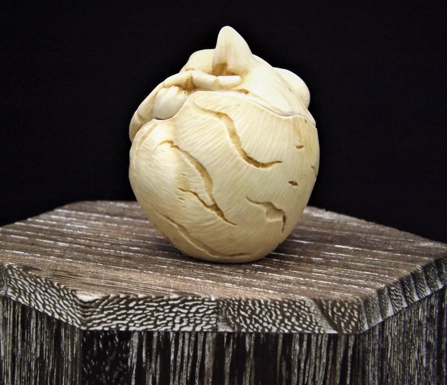 Harmony Kingdom Roly Poly 'Homer' Cat Figurine - Canadian Collectible Show Edition