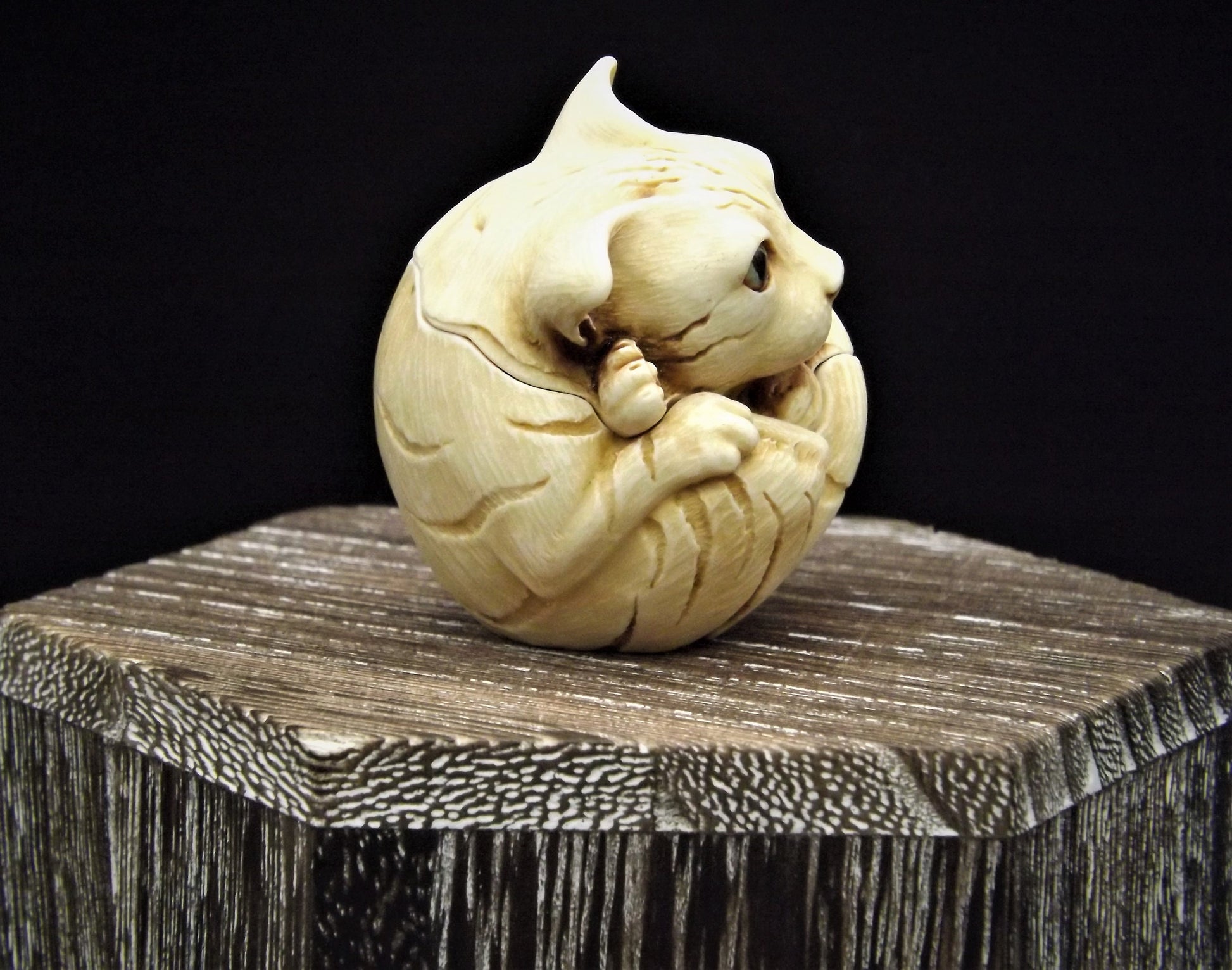 Harmony Kingdom Roly Poly 'Homer' Cat Figurine - Canadian Collectible Show Edition