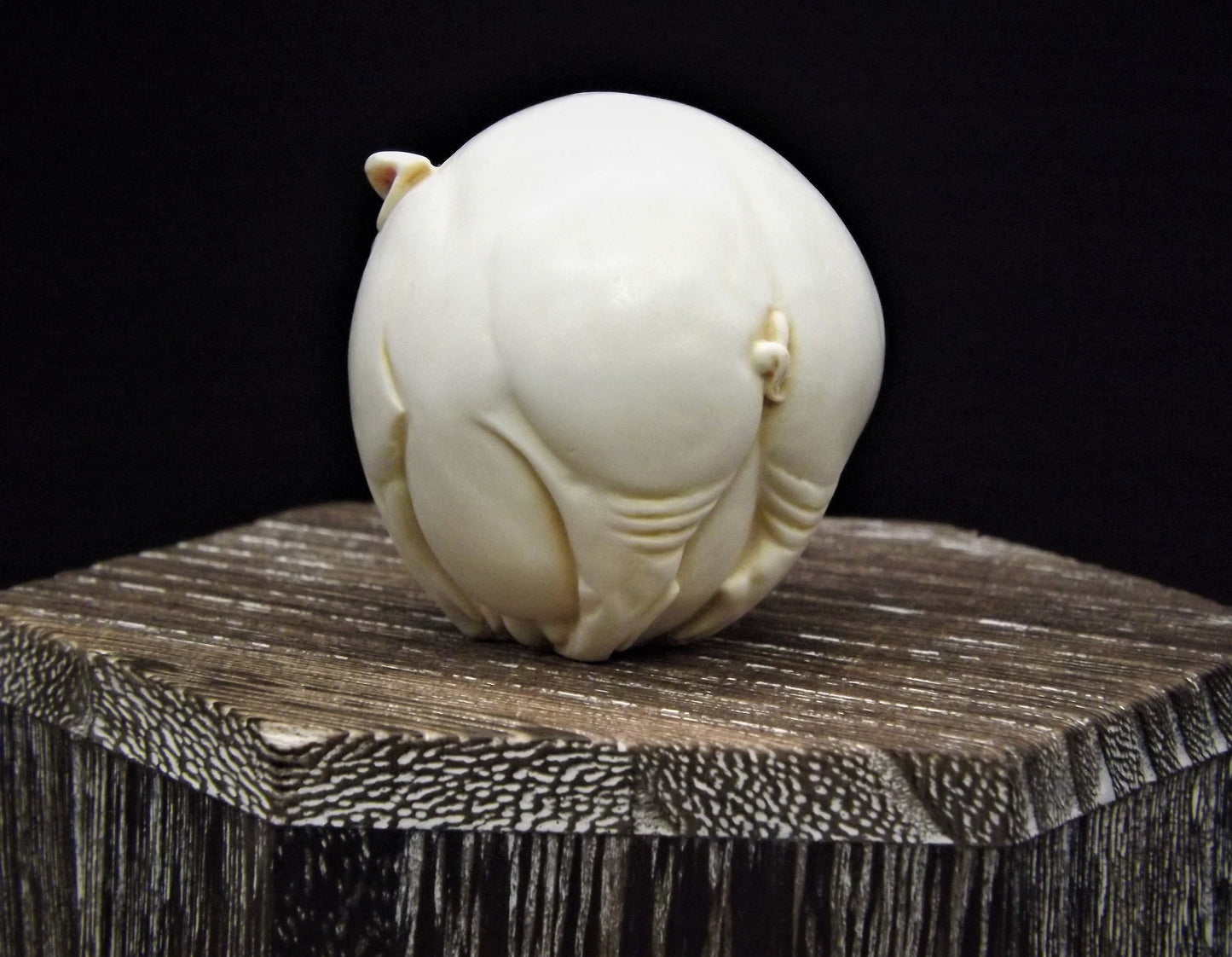 Harmony Kingdom Roly Poly 'Curly' Pig Figurine - Retired