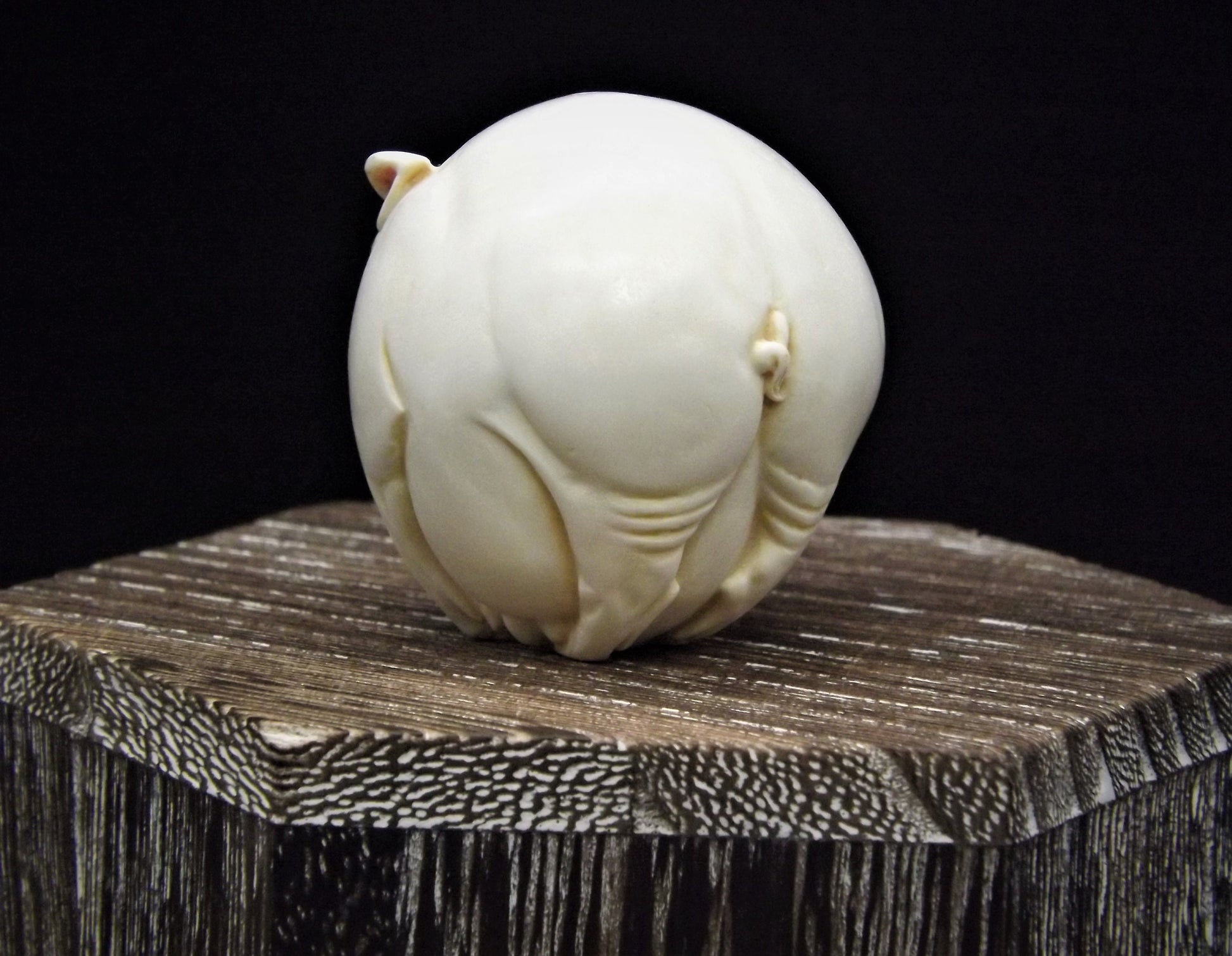 Harmony Kingdom Roly Poly 'Curly' Pig Figurine - Retired