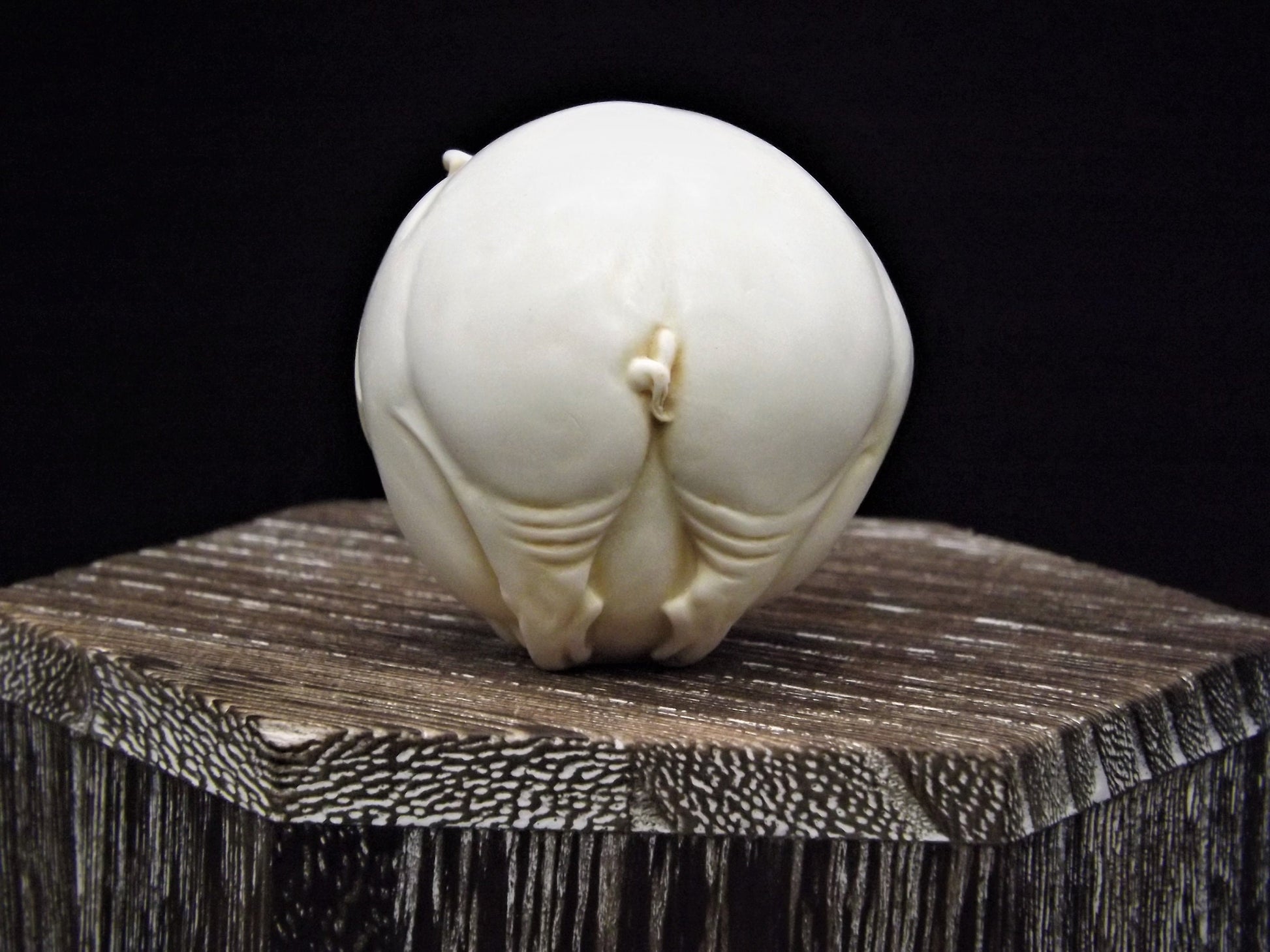 Harmony Kingdom Roly Poly 'Curly' Pig Figurine - Retired