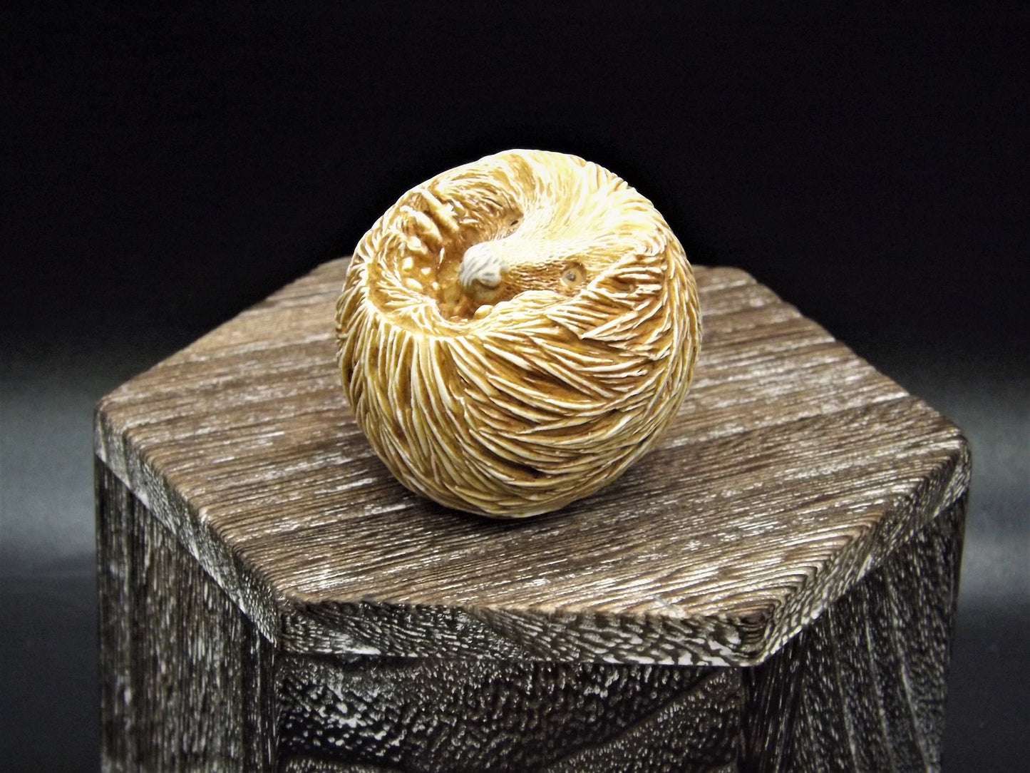 Retired Harmony Kingdom Benny Porcupine Figurine: Adam Binder Roly Poly