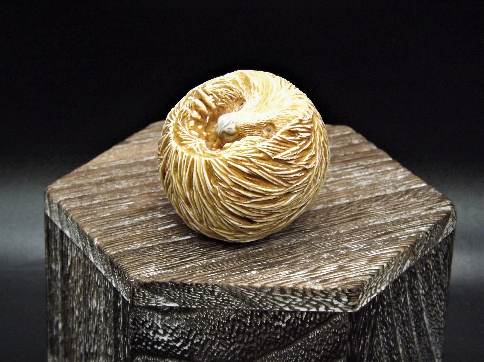 Retired Harmony Kingdom Benny Porcupine Figurine: Adam Binder Roly Poly