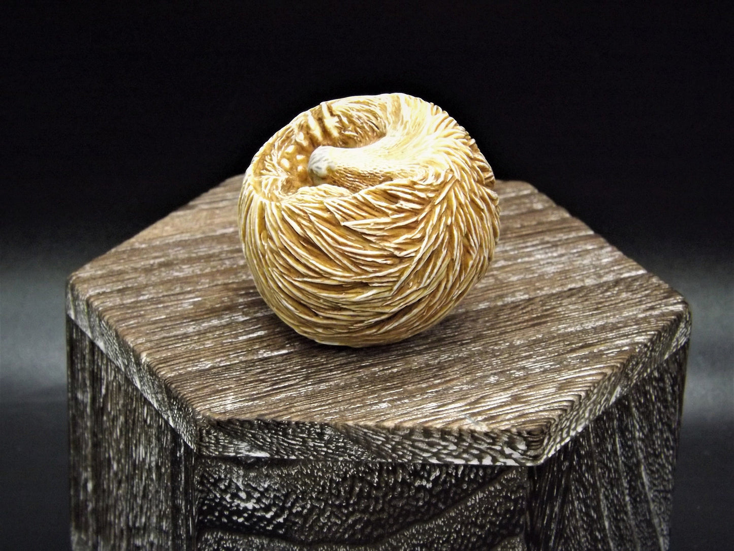 Retired Harmony Kingdom Benny Porcupine Figurine: Adam Binder Roly Poly