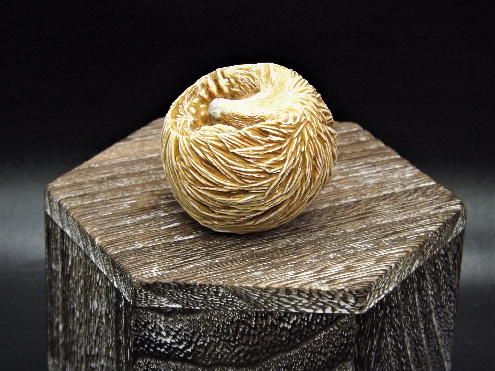 Retired Harmony Kingdom Benny Porcupine Figurine: Adam Binder Roly Poly