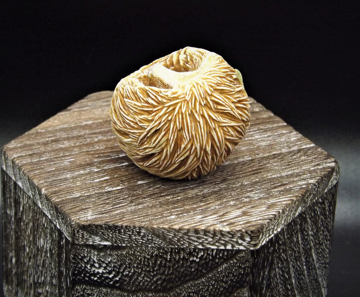 Retired Harmony Kingdom Benny Porcupine Figurine: Adam Binder Roly Poly