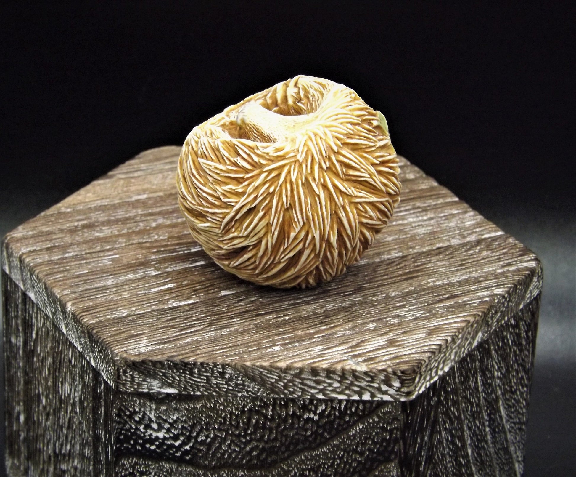 Retired Harmony Kingdom Benny Porcupine Figurine: Adam Binder Roly Poly