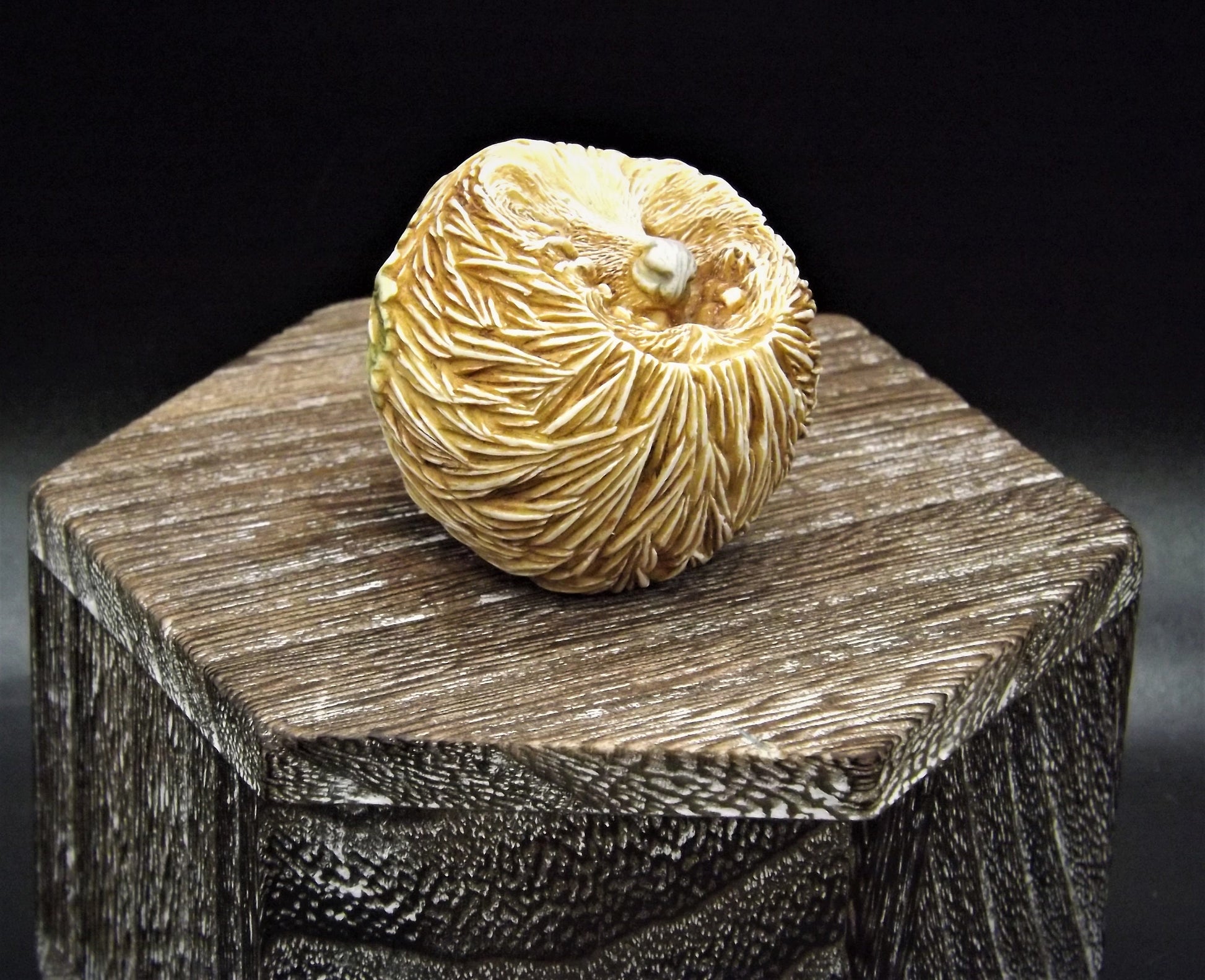 Retired Harmony Kingdom Benny Porcupine Figurine: Adam Binder Roly Poly