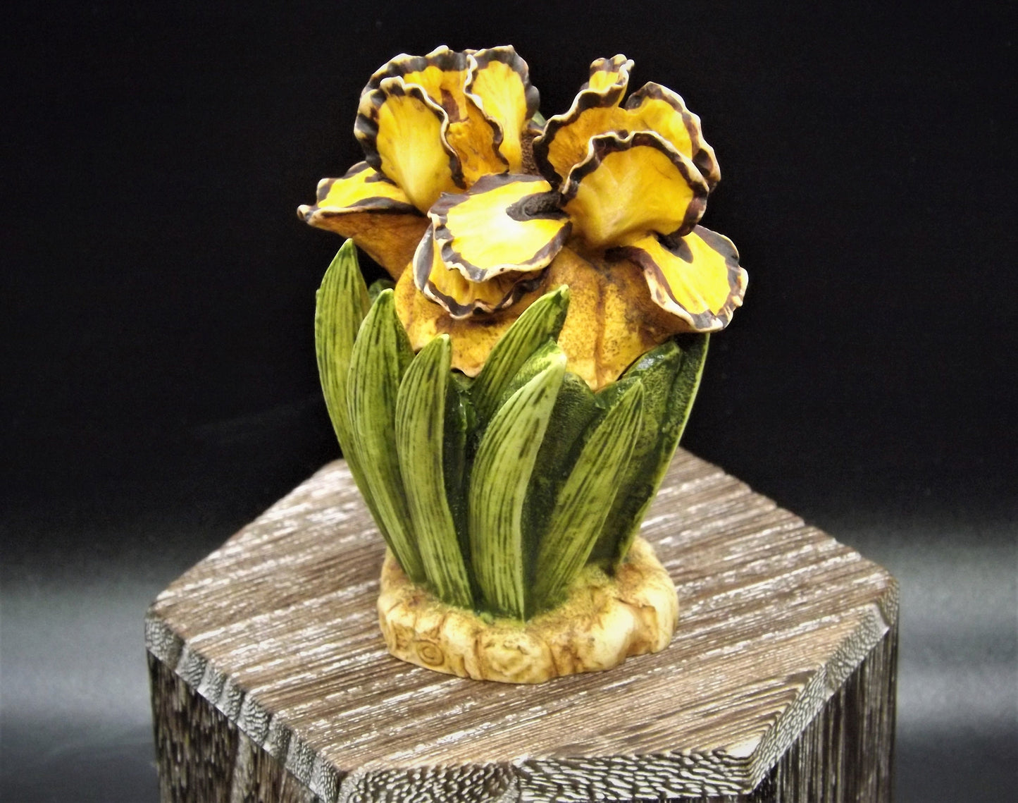 Retired 1998 Harmony Kingdom, Harmony Garden "Iris'" Jest Figurine HGIR no original box. Excellent condition.