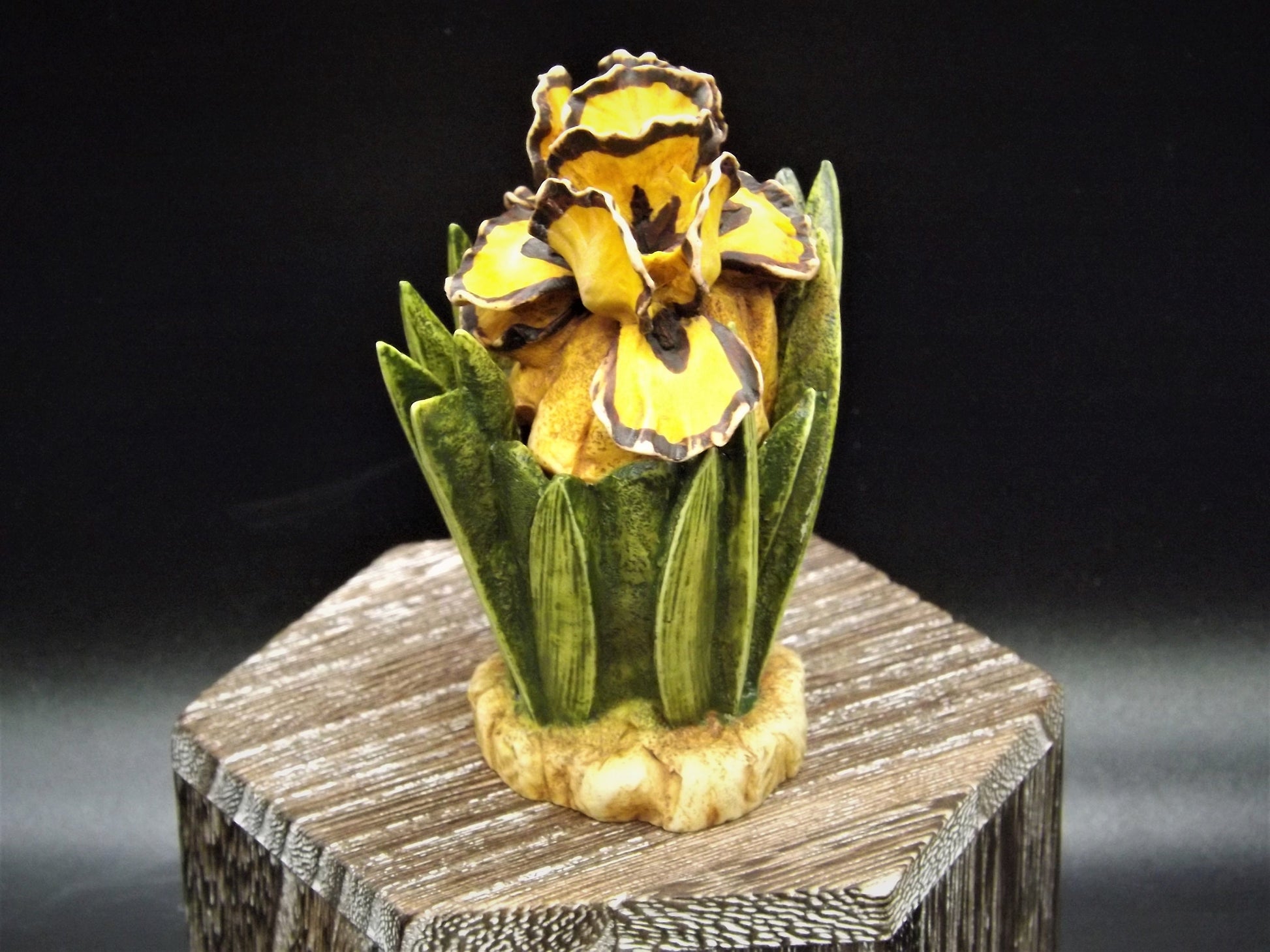 Retired 1998 Harmony Kingdom, Harmony Garden "Iris'" Jest Figurine HGIR no original box. Excellent condition.