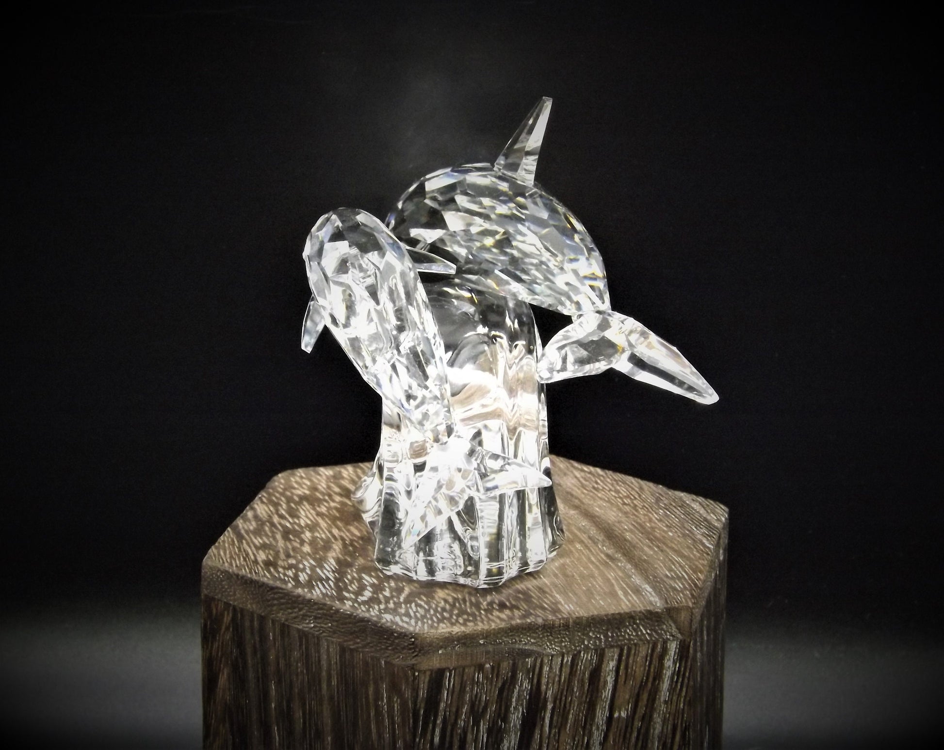 Vintage Swarovski Crystal Dolphin Figurine SCS 1990 "Lead Me"