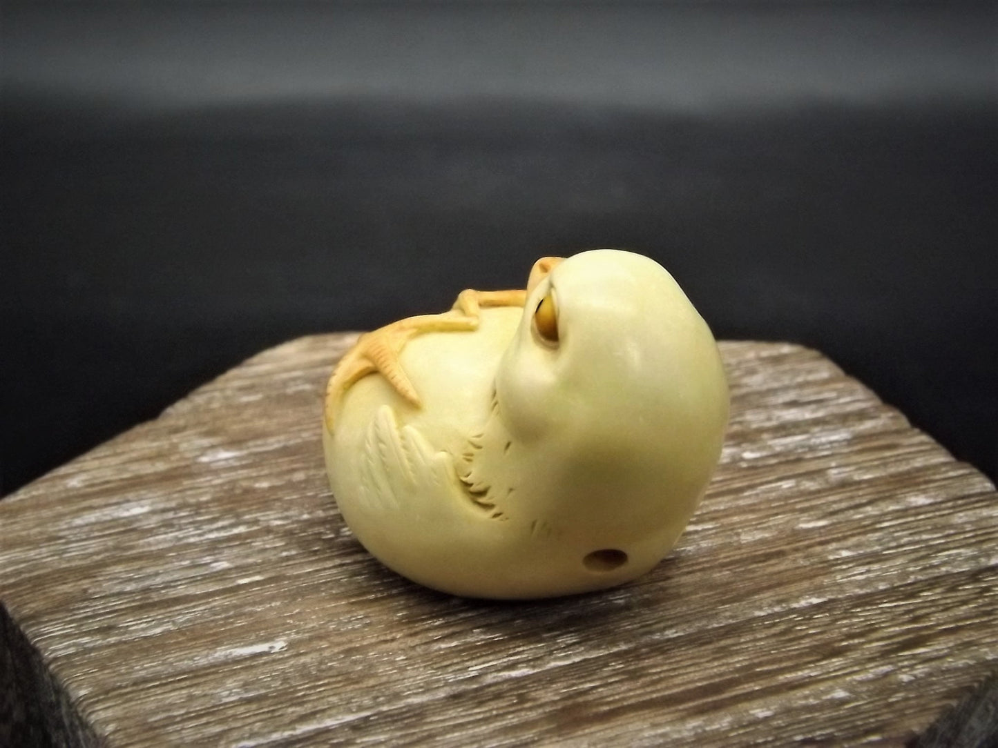 Adam Binder Palm Charm Netsuke series "Yellow Chick" Limited Edition of only 1200 pieces made. With original box No COA. Excellent shape