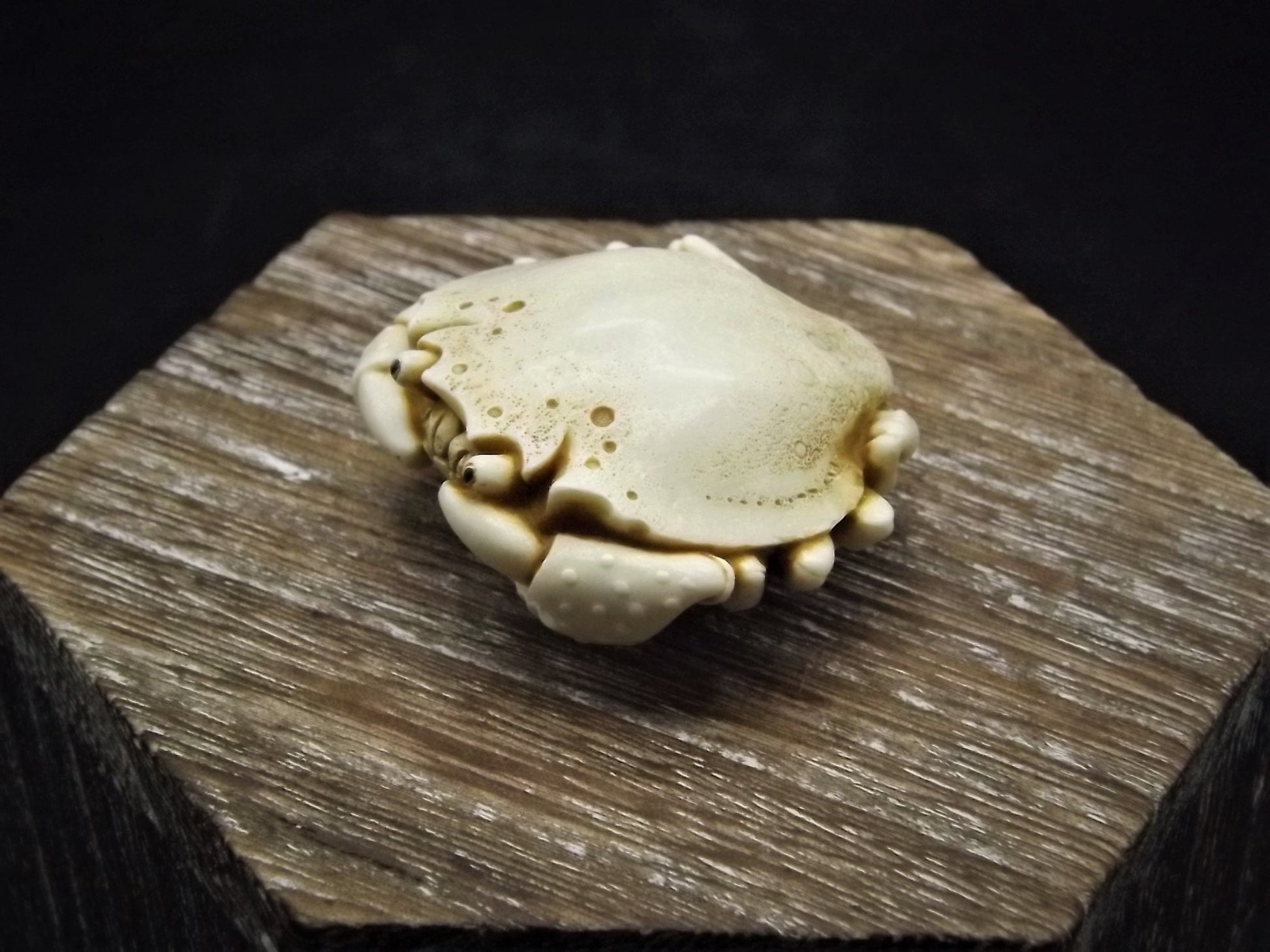 Closeout Sale! Adam Binder Palm Charm series "Ivory Crab". With original box. Excellent shape. Limited edition of 1,100.