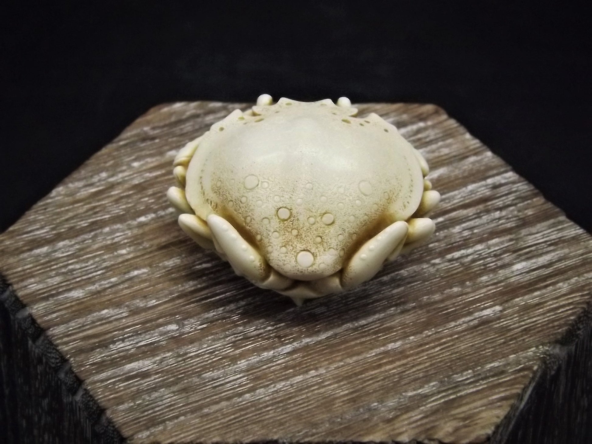 Closeout Sale! Adam Binder Palm Charm series "Ivory Crab". With original box. Excellent shape. Limited edition of 1,100.