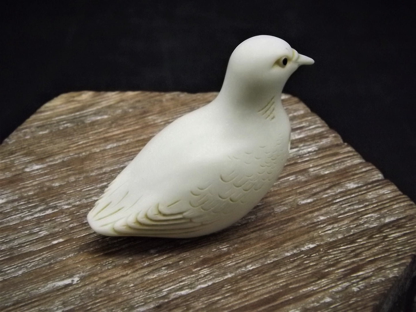 Closeout Sale! Adam Binder Palm Charm series "Turtle Dove". With original box. Excellent shape. Limited edition.