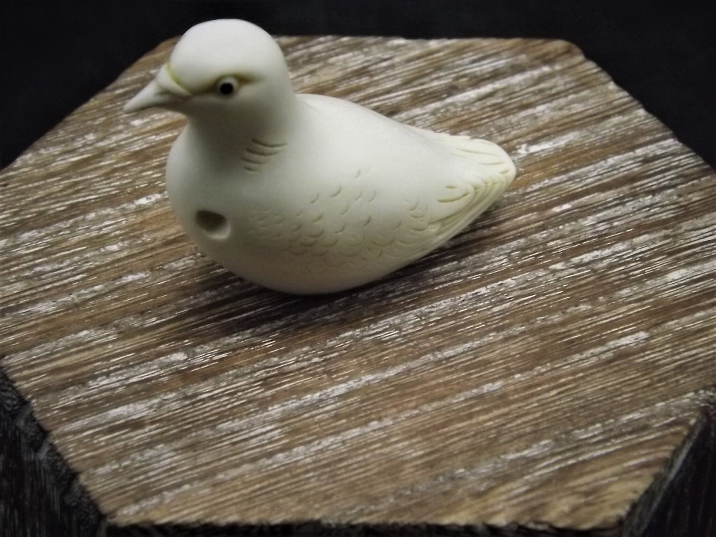 Closeout Sale! Adam Binder Palm Charm series "Turtle Dove". With original box. Excellent shape. Limited edition.