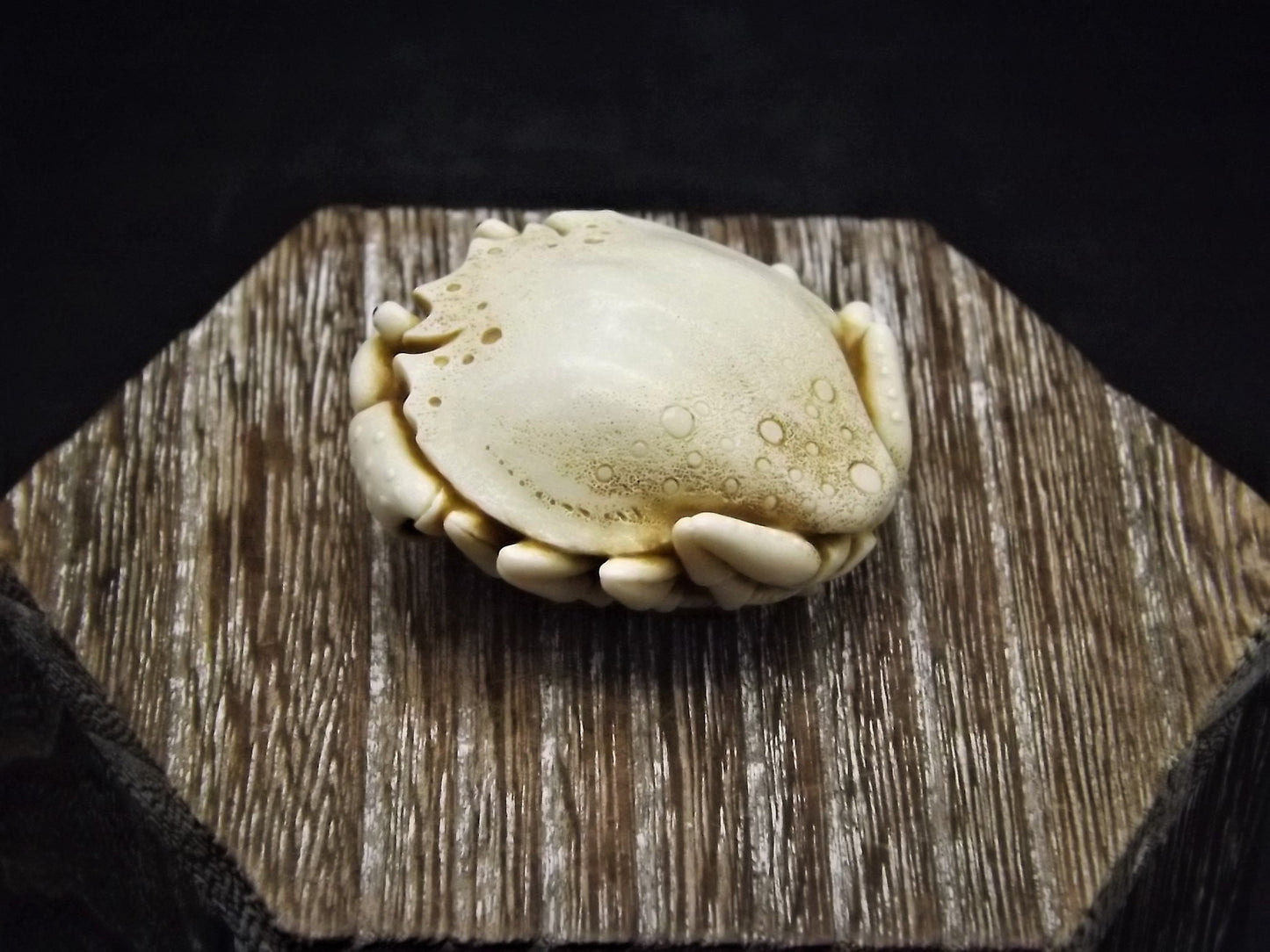 Closeout Sale! Adam Binder Palm Charm series "Ivory Crab". With original box. Excellent shape. Limited edition of 1,100.