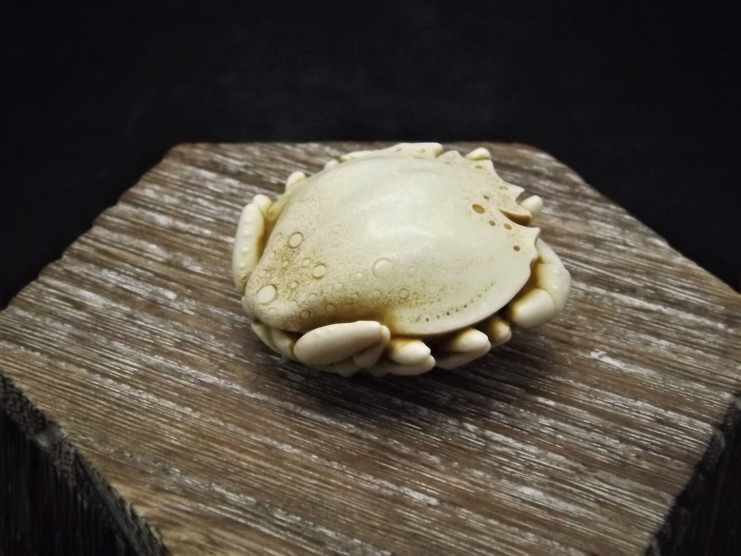 Closeout Sale! Adam Binder Palm Charm series "Ivory Crab". With original box. Excellent shape. Limited edition of 1,100.
