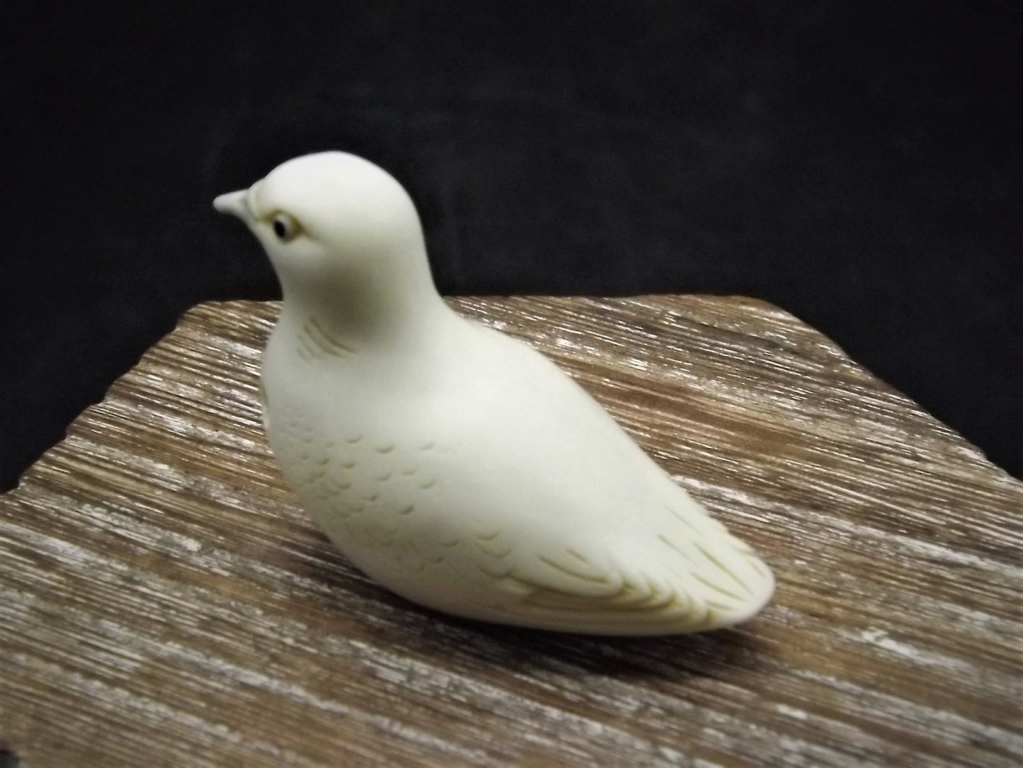 Closeout Sale! Adam Binder Palm Charm series "Turtle Dove". With original box. Excellent shape. Limited edition.