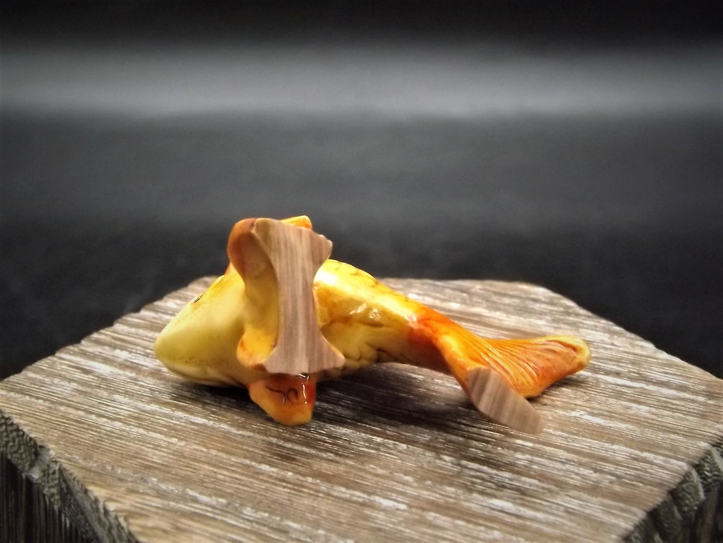 Fragile World "Goldfish" Figurine by Martin Perry Studios. Limited Edition to only 250 pieces with original box and COA. Excellent!