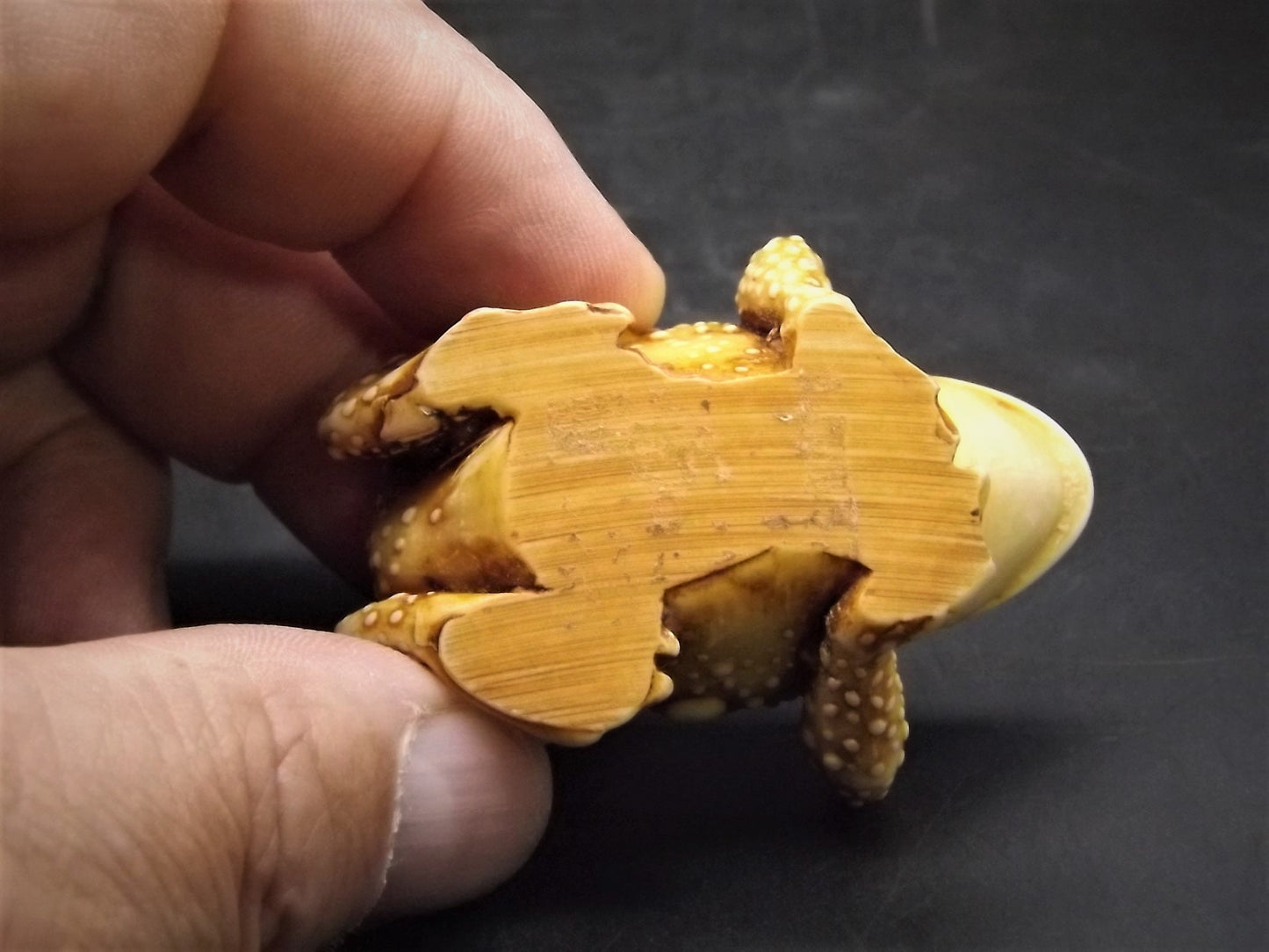 Retired 1992 Harmony Kingdom "Princely Thoughts" Rare early piece Excellent condition with an original box.