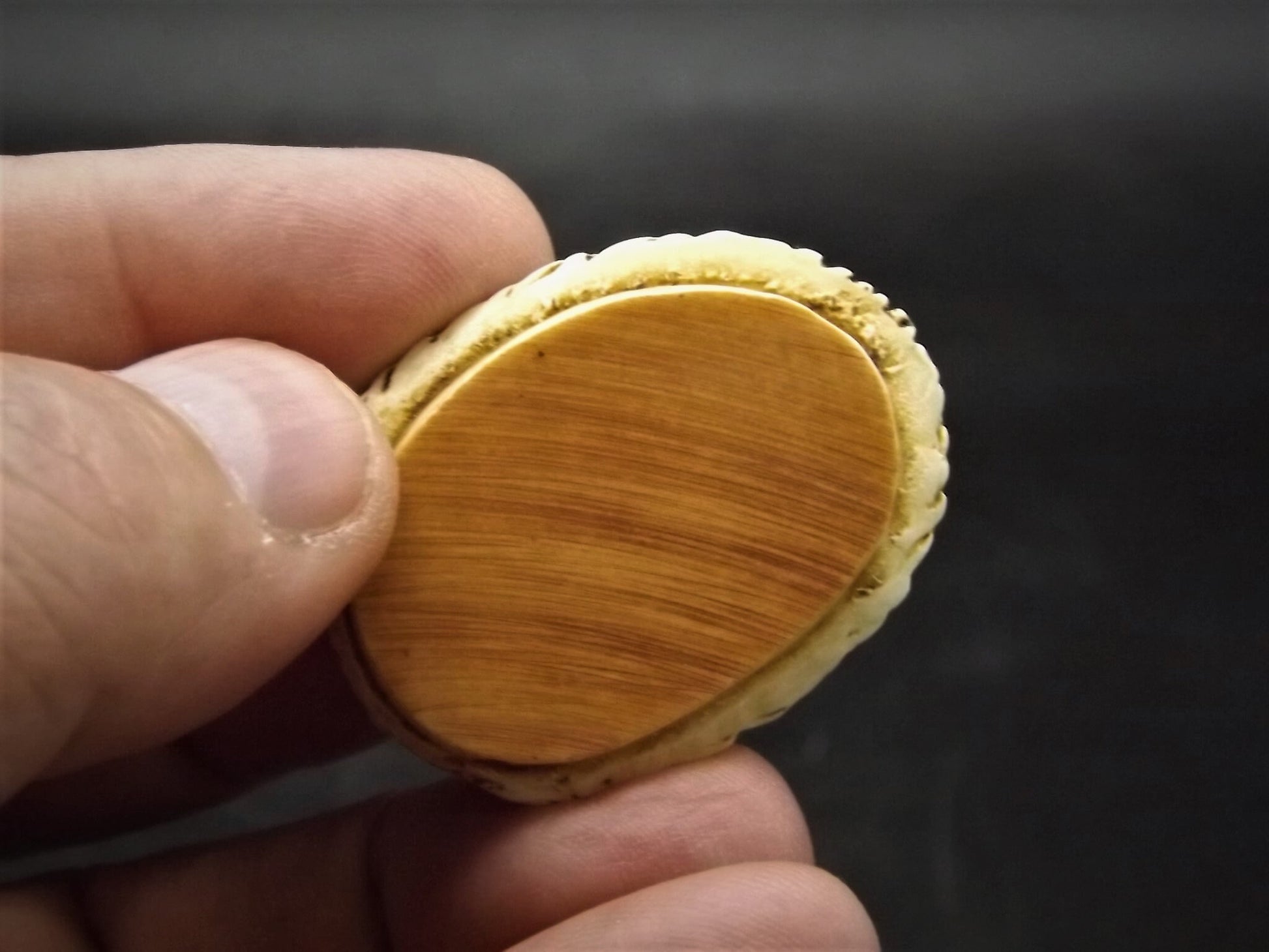 Retired 1994 Harmony Kingdom "Untouchable" piece Excellent condition. No Box