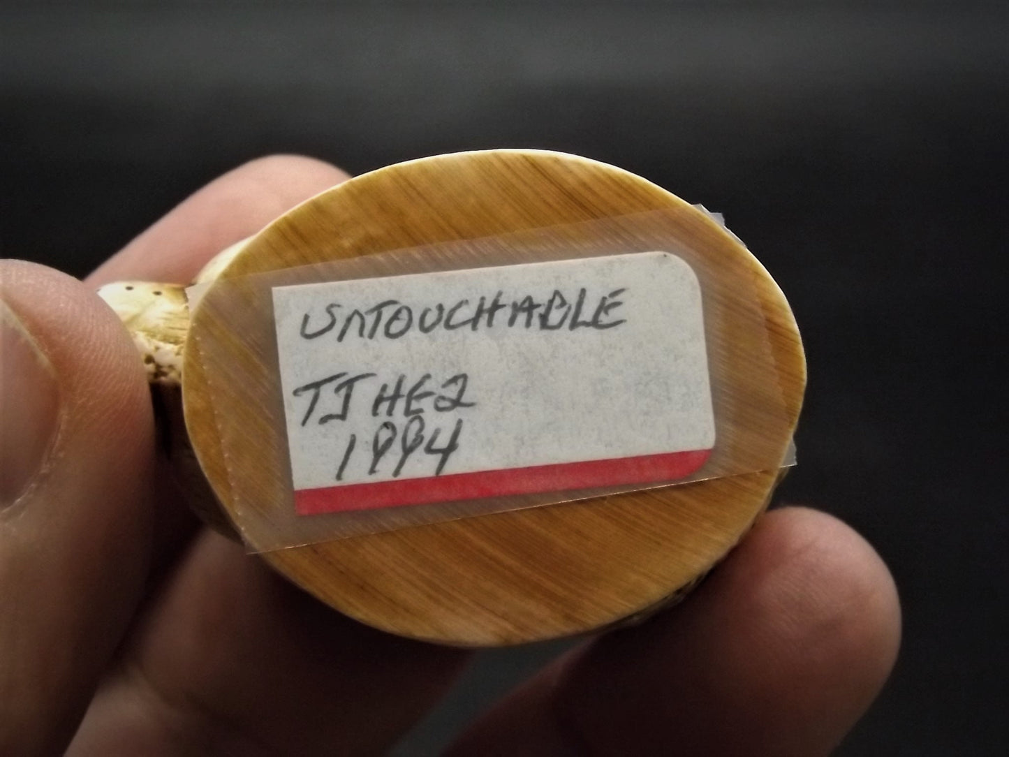 Retired 1994 Harmony Kingdom "Untouchable" piece Excellent condition. No Box