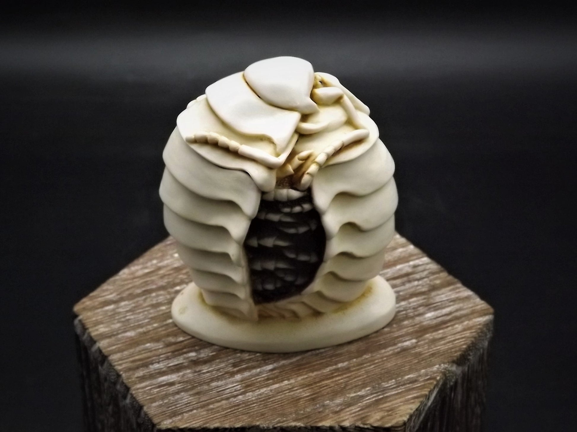 Retired 1995 Harmony Kingdom "Chucky Pig" Jest Figurine XXXTJCP with original box. Excellent condition. Only 300 made! Autographed Twice!