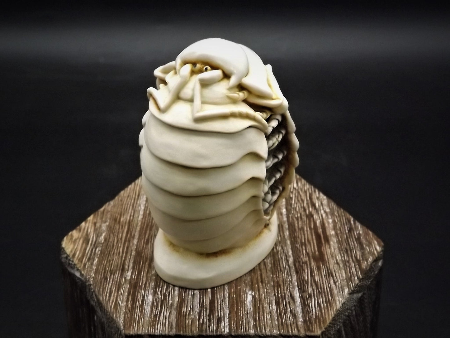 Retired 1995 Harmony Kingdom "Chucky Pig" Jest Figurine XXXTJCP with original box. Excellent condition. Only 300 made! Autographed Twice!