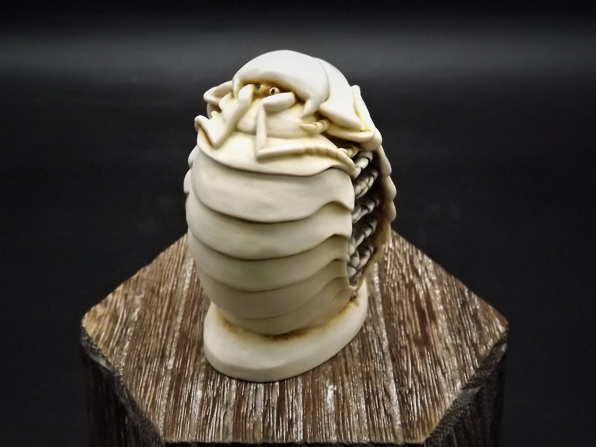 Retired 1995 Harmony Kingdom "Chucky Pig" Jest Figurine XXXTJCP with original box. Excellent condition. Only 300 made! Autographed Twice!