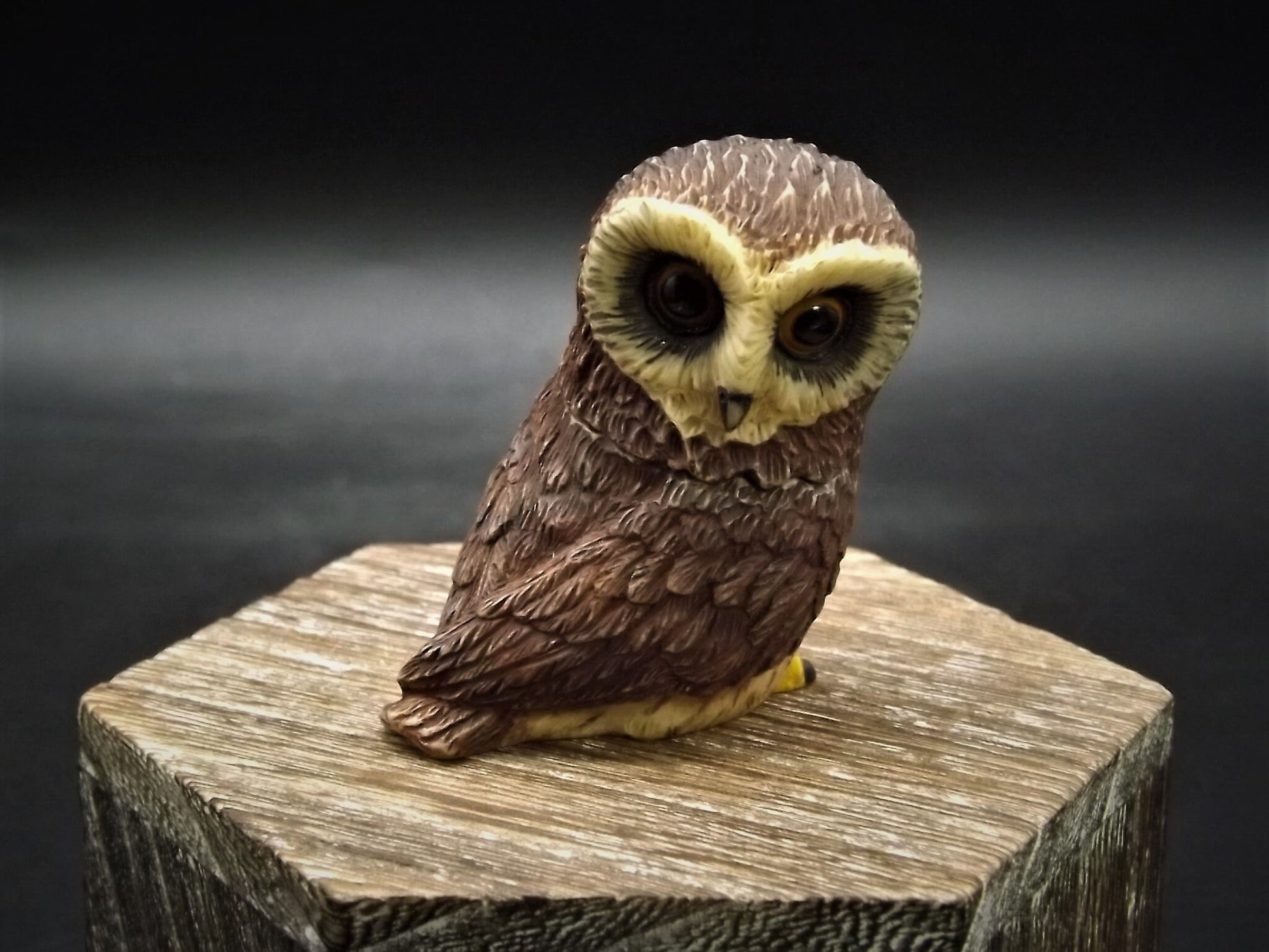 Harmony Kingdom Pot Bellys "Saw-Whet" Owl Figurine with original box and COA. Excellent condition!